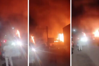 video brutarie in flacari in judetul gorj pericol de extindere la casele din zona 68c5da61c9994