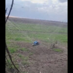 „Cum sprijină agricultorii de lalele din Olanda apărarea Ucrainei împotriva dronelor: „Sunt extrem de rezistente”” 3 video cum ajuta cultivatorii de lalele din olanda apararea ucrainenilor in fata dronelor sunt foarte rezistente 68ce302d1662f