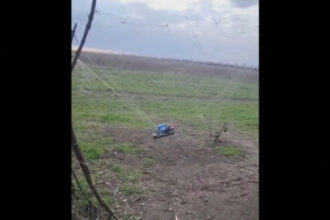 video cum ajuta cultivatorii de lalele din olanda apararea ucrainenilor in fata dronelor sunt foarte rezistente 68ce302d1662f