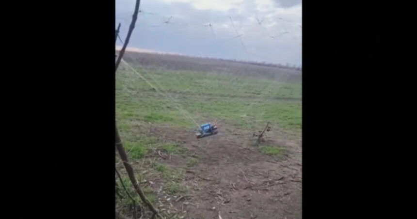 „Cum sprijină agricultorii de lalele din Olanda apărarea Ucrainei împotriva dronelor: „Sunt extrem de rezistente”” 1 video cum ajuta cultivatorii de lalele din olanda apararea ucrainenilor in fata dronelor sunt foarte rezistente 68ce302d1662f