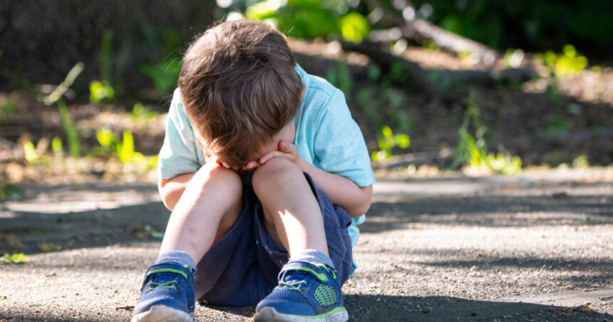 Fenomen îngrijorător: Intimidarea își face apariția încă din grădiniță. Care sunt adevărații responsabili și impactul asupra vieții copiilor 1 video fenomen alarmant bullying ul incepe de la gradinita cine sunt principalii vinovati si cum poate sa le afecteze copiilor viata 68d372bdeaae1