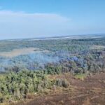 Focul necruțător din Delta Dunării: Pompierii continuă bătălia împotriva flăcărilor la Sireasa! 2 video incendiu violent in delta dunarii la sireasa pompierii lupta pentru a doua zi cu flacarile ce au cuprins padurea 68c2c22dedc22