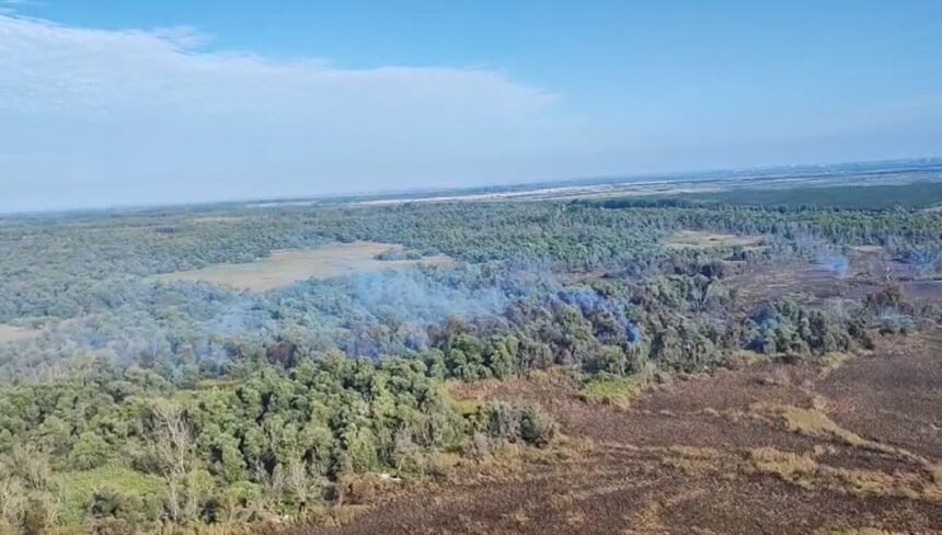 Focul necruțător din Delta Dunării: Pompierii continuă bătălia împotriva flăcărilor la Sireasa! 1 video incendiu violent in delta dunarii la sireasa pompierii lupta pentru a doua zi cu flacarile ce au cuprins padurea 68c2c22dedc22