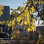Explozia surprinzătoare a unei mașini ce transporta operatori de drone rusești în Melitopol 2 video momentul in care o masina care transporta mai multi operatori de drone rusi sare in aer in melitopol 68d93ad57278e