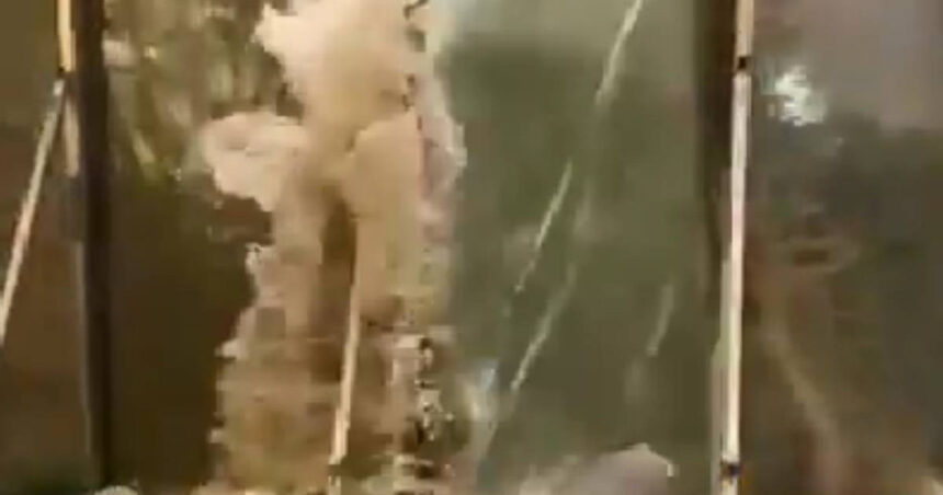 Când forța taifunului Ragasa zdrobește ușile de sticlă ale unui hotel din Hong Kong 1 video momentul in care valurile taifunului ragasa sparg usile din sticla ale unui hotel din hong kong 68d547012e961