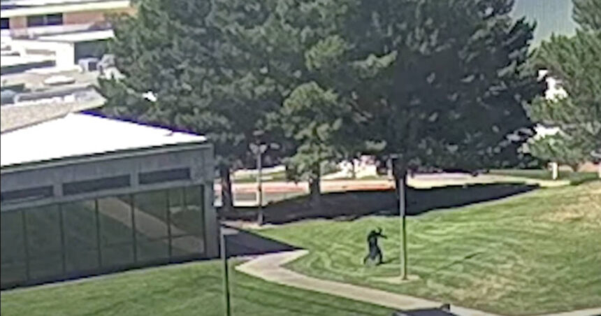 Poliția dezvăluie noi detalii despre atacatorul lui Charlie Kirk, reconstituind pașii presupusului criminal. 1 video noi imagini cu atacatorul lui charlie kirk publicate de politie anchetatorii au reconstituit miscarile presupusului asasin 68c3bcb80dcbd