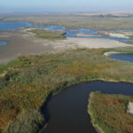 Părăsirea Edenului de la Comana: Delta Neajlovului, lăsată fără apă, unde știucile odinioară abundente s-au stins! 2 video paradisul pierdut de la comana peste jumatate din delta neajlovului a secat aici se prindea stiuca acum nu mai exista 68d4d9592c56e