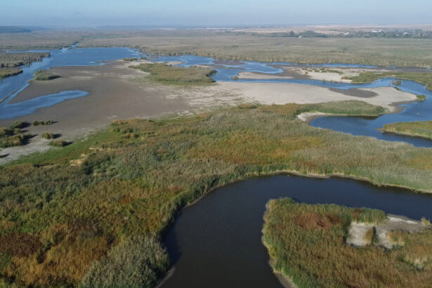 video paradisul pierdut de la comana peste jumatate din delta neajlovului a secat aici se prindea stiuca acum nu mai exista 68d4d9592c56e