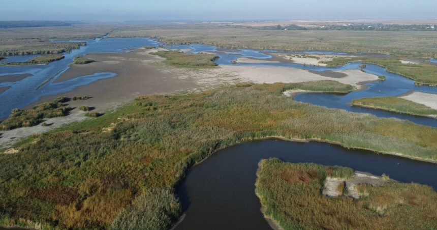 Părăsirea Edenului de la Comana: Delta Neajlovului, lăsată fără apă, unde știucile odinioară abundente s-au stins! 1 video paradisul pierdut de la comana peste jumatate din delta neajlovului a secat aici se prindea stiuca acum nu mai exista 68d4d9592c56e