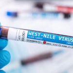 Interdicții pentru donarea de sânge în regiunile afectate de virusul West Nile: Informații esențiale pentru donatori 3 video restrictii la donarea de sange in judetele cu cazuri confirmate de west nile ce trebuie sa stie donatorii 68bbf6f2b76cb
