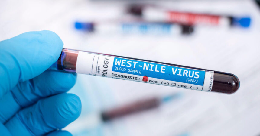 Interdicții pentru donarea de sânge în regiunile afectate de virusul West Nile: Informații esențiale pentru donatori 1 video restrictii la donarea de sange in judetele cu cazuri confirmate de west nile ce trebuie sa stie donatorii 68bbf6f2b76cb
