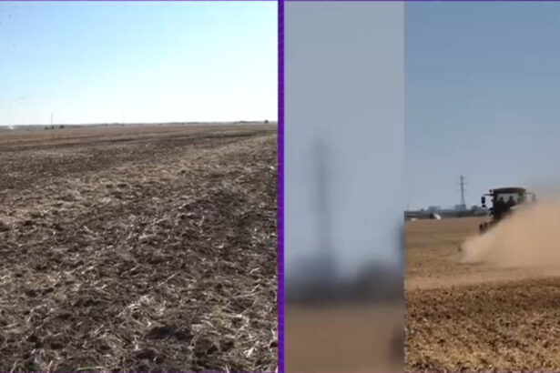 video seceta pedologica extrema in sudul tarii culturile de toamna nu pot rasari iar fermierii isi distrug utilajele in solul uscat 68d2962130011