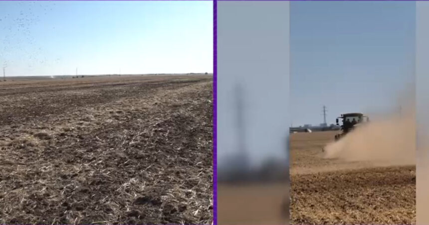 Seceta severă din sudul țării: Culturile de toamnă rămân în urmă, iar fermierii își distrug echipamentele în pământul arid. 1 video seceta pedologica extrema in sudul tarii culturile de toamna nu pot rasari iar fermierii isi distrug utilajele in solul uscat 68d2962130011
