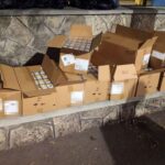 Captură impresionantă: 20.000 de euro în țigări găsite în cabina unui moldovean la Punctul de Frontieră Negru Vodă 2 video tigari in valoare de 20 000 de euro descoperite in cabina unui cetatean moldovean in punctul de frontiera negru voda 68d3d0ac79064