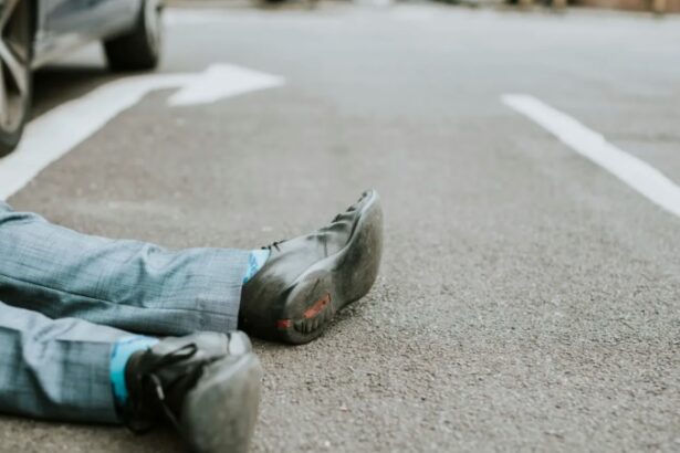 a ascuns masina intr un lan de porumb dupa un accident mortal soferul fara permis condamnat si fugit din tara prins in 2025 68f82d0823f4b