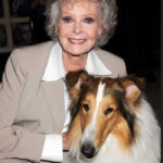 Ne despărțim de June Lockhart, legenda rolurilor din „Lassie” și „Lost in Space”, la venerabila vârstă de 100 de ani. 2 a murit june lockhart celebra pentru rolurile din lassie si lost in space actrita avea 100 de ani 68fd3cc956edd