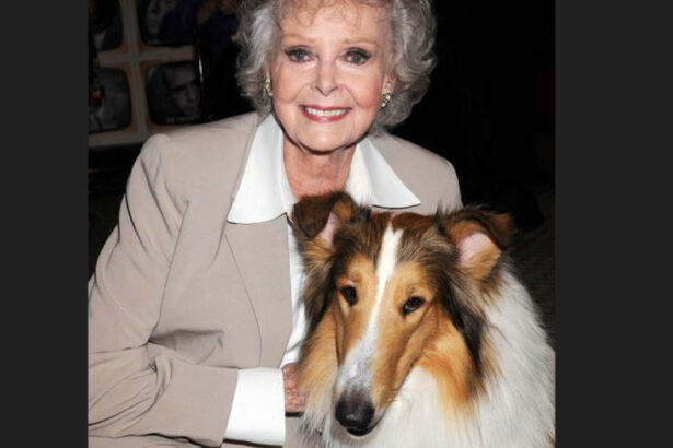 a murit june lockhart celebra pentru rolurile din lassie si lost in space actrita avea 100 de ani 68fd3cc956edd
