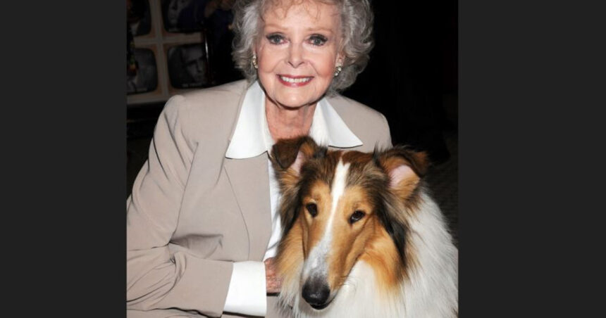 Ne despărțim de June Lockhart, legenda rolurilor din „Lassie” și „Lost in Space”, la venerabila vârstă de 100 de ani. 1 a murit june lockhart celebra pentru rolurile din lassie si lost in space actrita avea 100 de ani 68fd3cc956edd