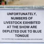Atenție, Gorj! Focar de boala limbii albastre la vite – experții veterinari semnalează o expansiune a virusului în Europa. 2 alerta epidemiologica in gorj focar de boala limbii albastre la bovine virusul se extinde in europa anunta expertii veterinari 68dd528fd7fa8