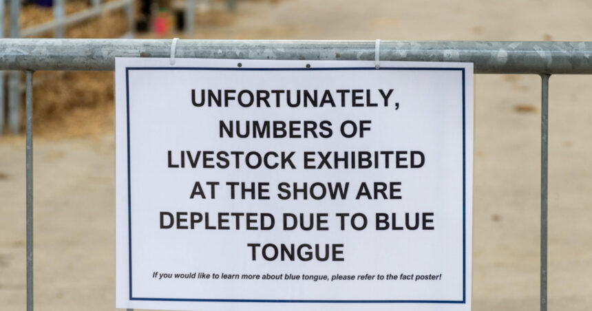 Atenție, Gorj! Focar de boala limbii albastre la vite – experții veterinari semnalează o expansiune a virusului în Europa. 1 alerta epidemiologica in gorj focar de boala limbii albastre la bovine virusul se extinde in europa anunta expertii veterinari 68dd528fd7fa8