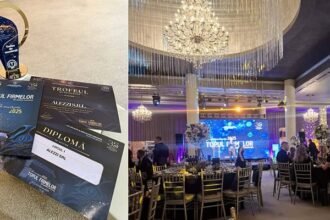 alezzi locul 1 la topul firmelor din judetul constanta performanta remarcabila in randul intreprinderilor mari 68fc7dd55157e