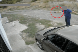 amenda de 7 000 de lei pentru barbatul care a tras cu un pistol cu bile intr un bichon in palazu mare acesta a ramas si fara pistol 68dd07abe203a