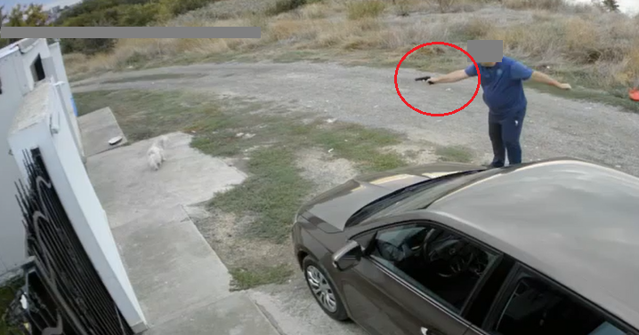 Bărbat sancționat cu 7.000 de lei pentru că a împușcat un bichon cu un pistol cu bile în Palazu Mare, rămânând fără arma sa. 1 amenda de 7 000 de lei pentru barbatul care a tras cu un pistol cu bile intr un bichon in palazu mare acesta a ramas si fara pistol 68dd07abe203a