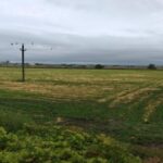 ANAF pune în vânzare un teren agricol de 45.000 mp în Năvodari! 3 anaf scoate la licitatie un teren agricol de 45 000 mp in navodari 6903a9182584e