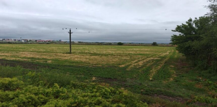 ANAF pune în vânzare un teren agricol de 45.000 mp în Năvodari! 1 anaf scoate la licitatie un teren agricol de 45 000 mp in navodari 6903a9182584e