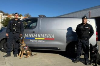 autospeciala noua pentru transportul cainilor de serviciu primita de jandarmeria constanta 690229e0f23fc