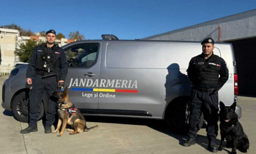 Jandarmeria Constanța își îmbogățește flota cu o autospecială dedicată câinilor de serviciu! 1 autospeciala noua pentru transportul cainilor de serviciu primita de jandarmeria constanta 690229e0f23fc