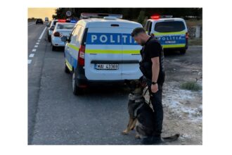 caz incredibil la tulcea solutionat in timp record trei copii au furat o masina si au facut accident 68e2942f25e5a