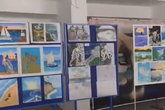 complexul muzeal de stiinte ale naturii constanta si isj marcheaza ziua marii negre prin proiectul cercetas la delfinariu 68f9d759239b4