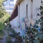 CSM Constanța obține avizul pentru sala din Badea Cârțan, dar fondurile rămân un mister! 2 csm constanta are autorizatie de construire pentru sala din badea cartan nu si banii 690105a38d9ad