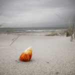 Prognoza meteo pentru Dobrogea și întreaga țară în intervalul 20 – 27 octombrie: dimineți răcoroase și zile pline de soare 3 cum va fi vremea in dobrogea si in tara in perioada 20 27 octombrie dimineti reci si zile insorite 68f50c64e154c