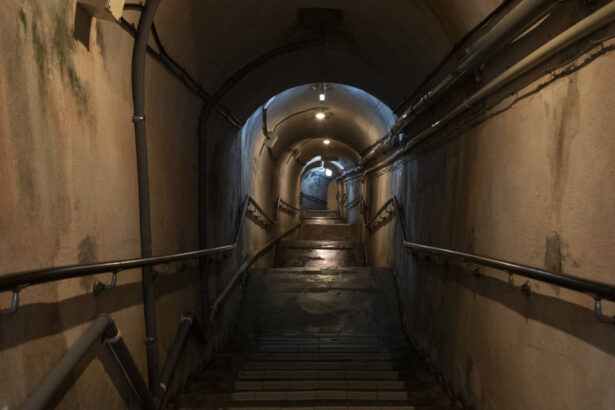 de teama ca va fi urmatoarea tinta a rusiei lituania construieste adaposturi antiaeriene trebuie sa ne pregatim 68de9976438b7