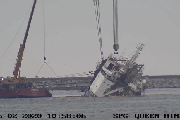 document procurorii claseaza dosarul navei queen hind scufundata in portul midia 14 000 de oi au murit nimeni nu este vinovat 68df3a41ab138