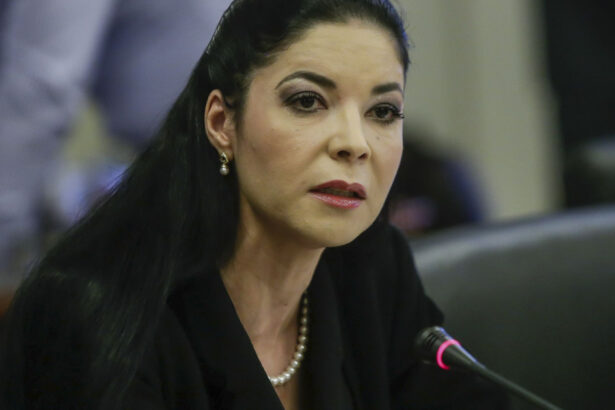 documentul care o acuza pe ana birchall ca ar fi vrut sa colaboreze cu cia a fost retras o tentativa de asasinat politic 68eb290adc929