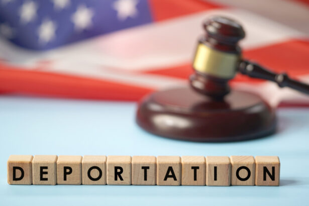 donald trump este pe cale sa doboare recordul de imigranti deportati din sua este doar inceputul 68f771194226f