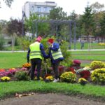foto campanie de toamna mii de flori si arbusti ornamentali vor fi plantati in constanta 68fb5a6eab383