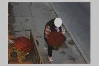 foto furt de flori astazi aproape de tomis mall acuza reprezentantii unei bijuterii din oras fiecare comerciant depune un efort pentru a decora de sezon si a bucura trecatorii 68fbc3894fd40