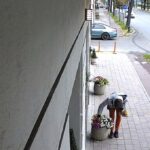 Scenă Șocantă pe Bulevardul Ferdinand din Constanța: Florile Îngrijite cu Devotament de Oamenii unei Clinici Dentare, Furt cu Nepăsare! 2 foto gest revoltator pe bulevardul ferdinand din constanta florile plantate si ingrijite cu drag de angajatii une clinici dentare sustrase cu nonsalanta acuza acestia 68f37f213b614