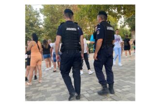 foto jandarmii din medgidia descoperire surpriza in zona targului saptamanal din municipiu 68ecd99858e0d