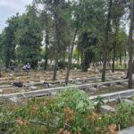 Transformări în Cimitirul Central din Constanța: Borduri noi și socluri funerare revitalizate 3 foto lucrari de reamenajare in cimitirul central din constanta apar borduri si se refac soclurile funerare 68e37899635e7