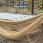 Capturarea ilegală a peștilor în Hârșova: Cinci suspecți sub investigație! 3 foto perchezitii in harsova cinci persoane sunt cercetate pentru pescuit ilegal 68f5f8018ea49
