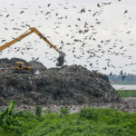 Trei din cinci specii de păsări se confruntă cu un declin alarmant. Focile din regiunile arctice, pe cale de dispariție. „Biodiversitatea se află într-o criză profundă” 3 foto trei din cinci specii de pasari sunt in declin focile arctice aproape de disparitie criza biodiversitatii se adanceste 68eb6cf02f6d0