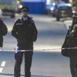 Un bărbat a fost înjunghiat mortal în timpul unei plimbări cu cățelul în vestul Londrei; un suspect a fost reținut. 2 foto un barbat care isi plimba catelul a fost ucis intr un atac cu un cutit in vestul londrei un suspect a fost arestat 6901cfb887848