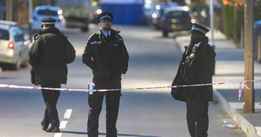 Un bărbat a fost înjunghiat mortal în timpul unei plimbări cu cățelul în vestul Londrei; un suspect a fost reținut. 1 foto un barbat care isi plimba catelul a fost ucis intr un atac cu un cutit in vestul londrei un suspect a fost arestat 6901cfb887848