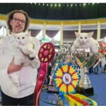 Un motan român, încoronat ca cel mai frumos din lume la Campionatul Mondial al Pisicilor 2025! 3 foto un motan nascut in romania desemnat cel mai frumos din lume la campionatul mondial felin 2025 6904b0b18bcb4