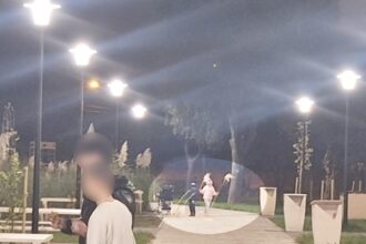 foto vandalism in parcul poarta 6 din constanta plante decorative rupte si furate la scurt timp dupa plantare 68ef9feacf610